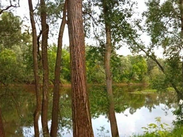 продажа загородная деревня Владимировка улица Речная, 5/1