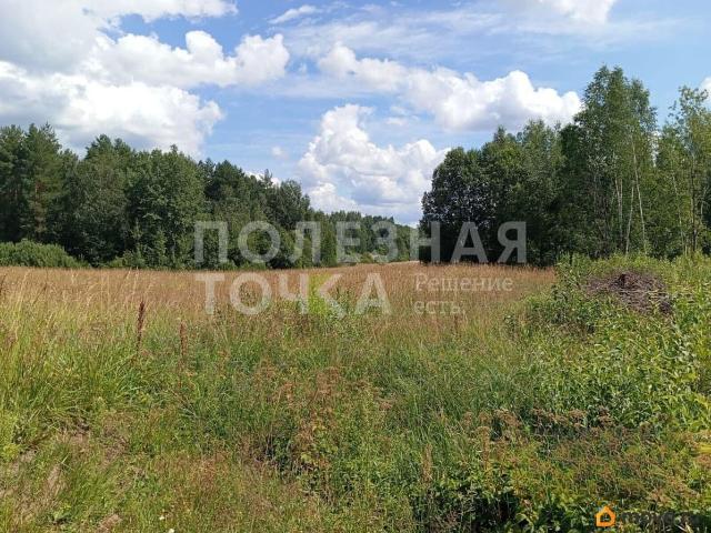 продажа загородная деревня Загубье улица Центральная
