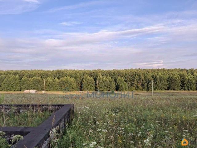продажа загородная деревня Зубаниха улица Центральная