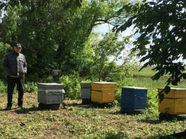 продажа загородная деревня Якобьевка улица Петровская