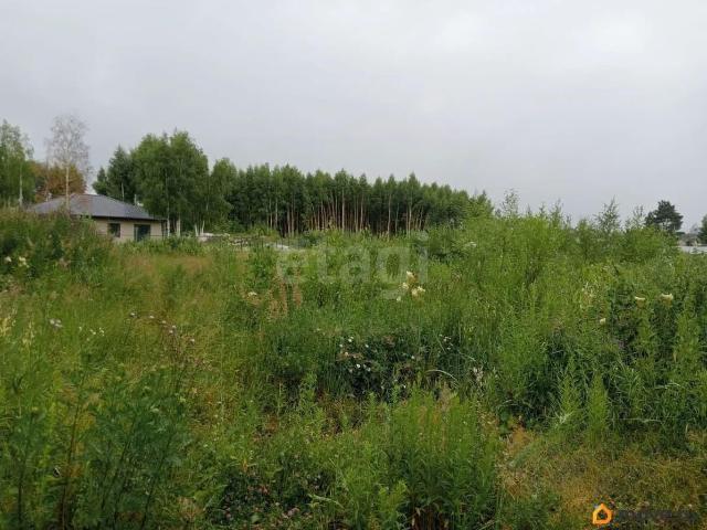 продажа загородная деревня Алешково проезд 6 й Лучистый, 47