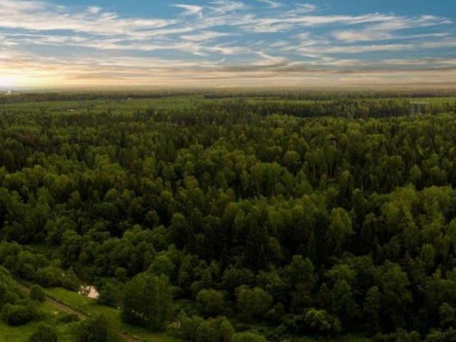 продажа загородная деревня Алексеевка 2 я улица Лесной Уголок, 1
