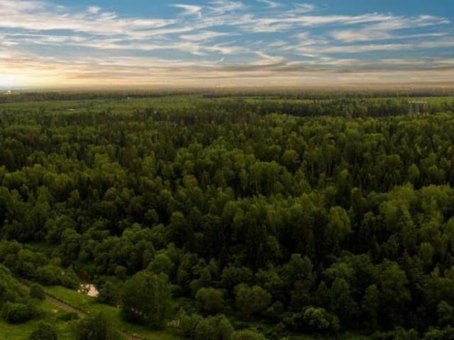 продажа загородная деревня Алексеевка 2 я улица Лесной Уголок, 1