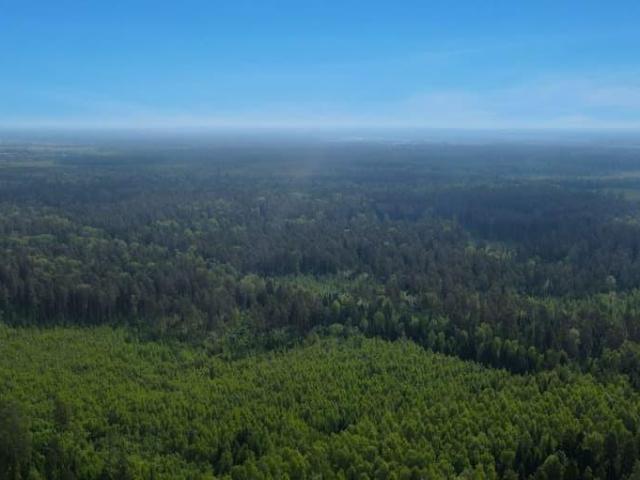продажа загородная деревня Алексеевка 2 я улица Лесной Уголок, 1