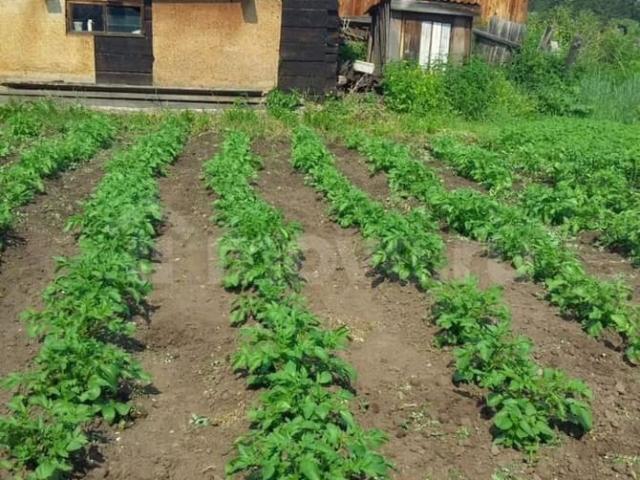 продажа загородная деревня Байроновка ул. Центральная ул, 136