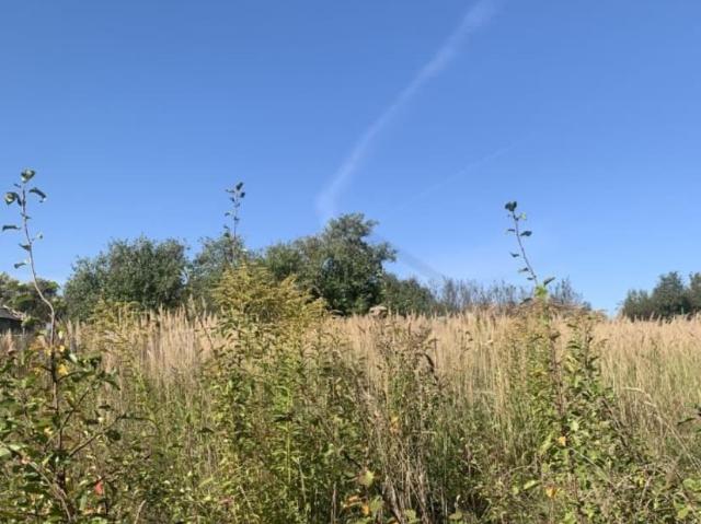продажа загородная деревня Бебелево улица Центральная
