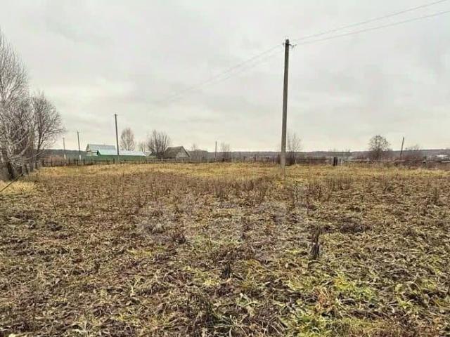 продажа загородная деревня Бикшиково улица Центральная