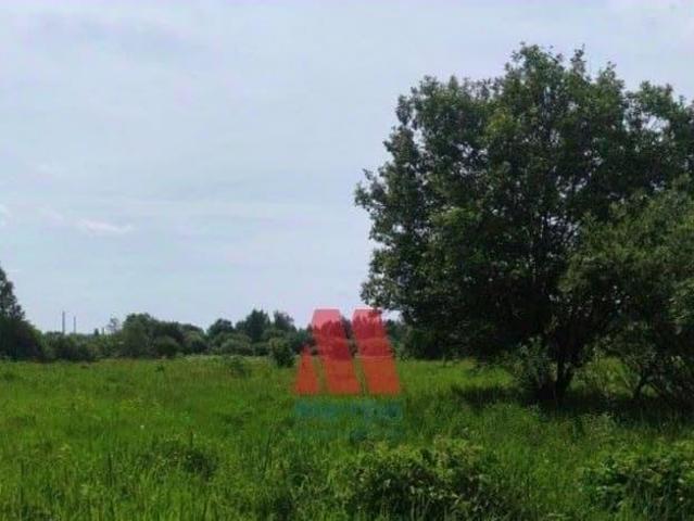 продажа загородная деревня Бойтово улица Дорожная