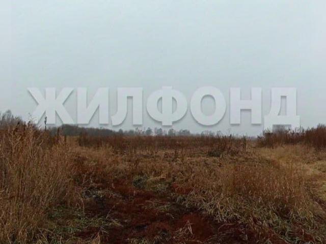 продажа загородная деревня Большой Оеш улица Суворова