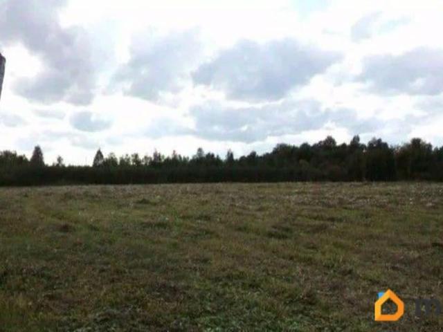 продажа загородная деревня Борики Центральная улица