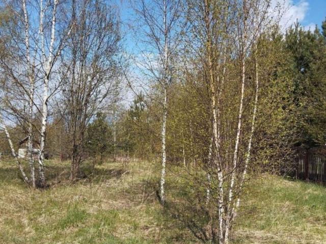 продажа загородная деревня Бреховская улица Крестьянская, 4