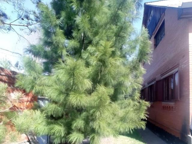 продажа загородная деревня Бугачево улица Южная, 49