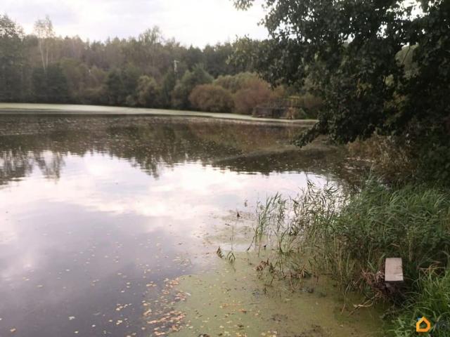 продажа загородная деревня Еловка улица Ягодная, 2