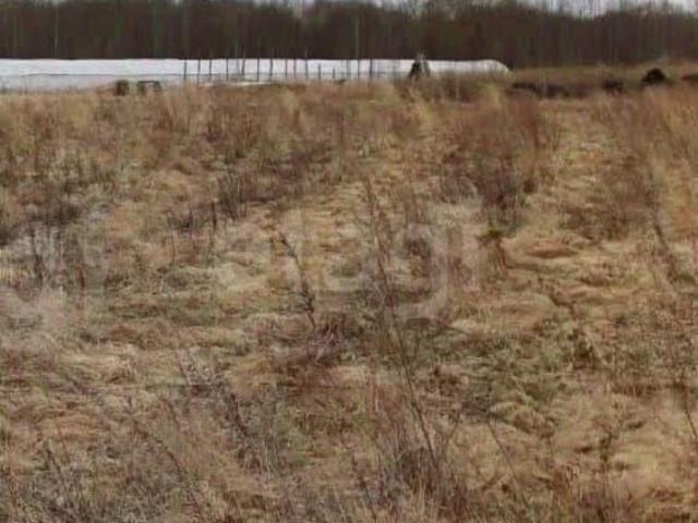 продажа загородная деревня Федоровщина улица Фермерская