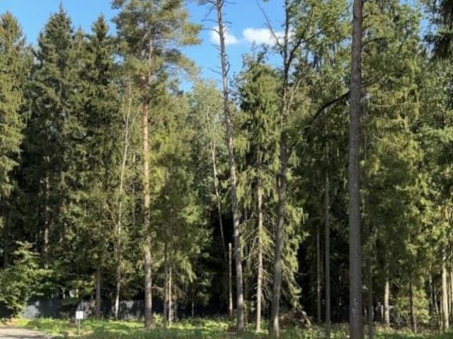 продажа загородная деревня Голиково улица Подмосковная