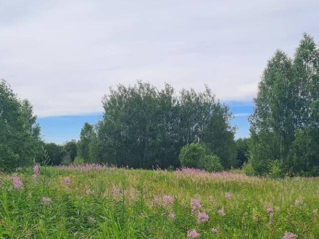 продажа загородная деревня Гора улица Первая, 15
