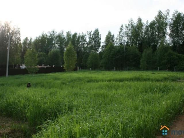 продажа загородная деревня Хоругвино ул. СНТ Вишенка