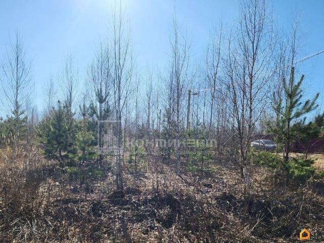 продажа загородная деревня Чижово улица Березовая, 2
