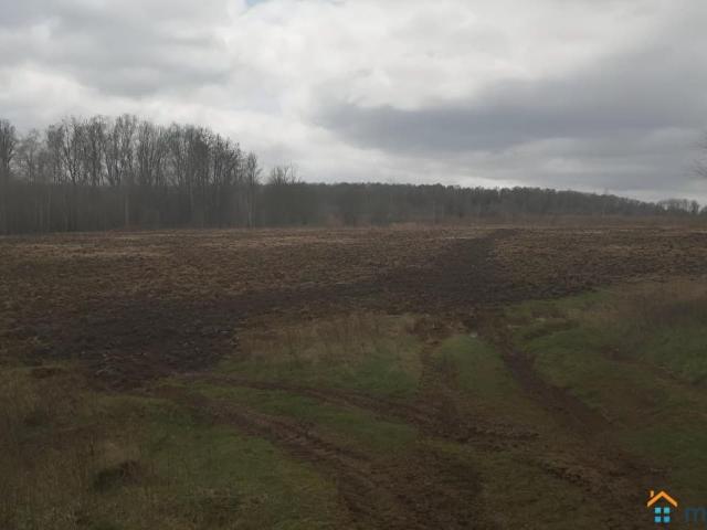 продажа загородная деревня Исканское улица Центральная