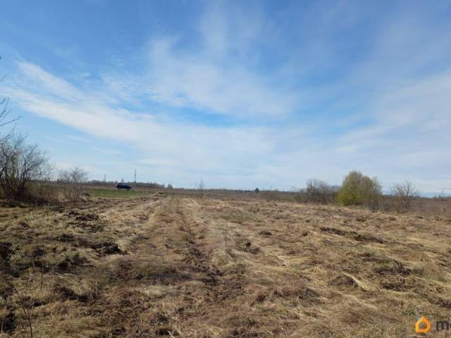 продажа загородная деревня Корлы улица Покровская