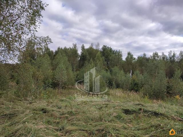 продажа загородная деревня Литвиново улица Левитана