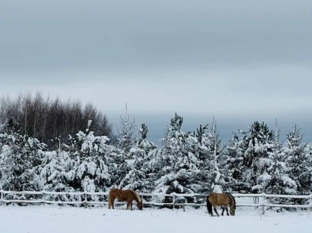 продажа загородная деревня Логиново Центральная улица