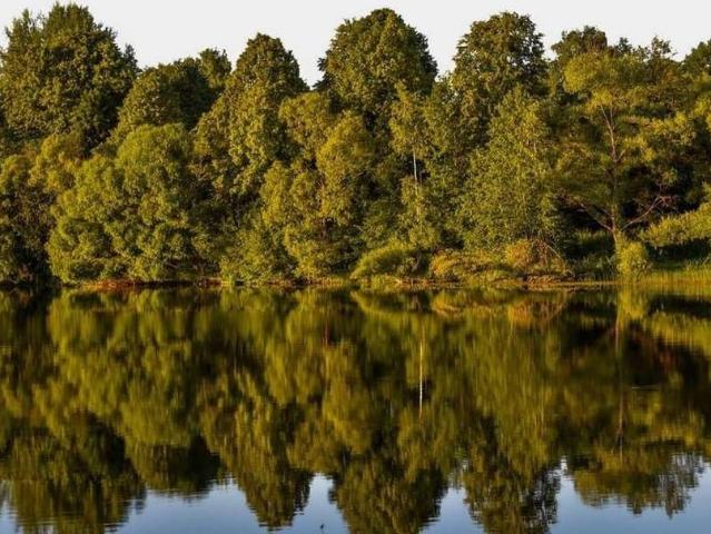 продажа загородная деревня Малеево Озёрная улица