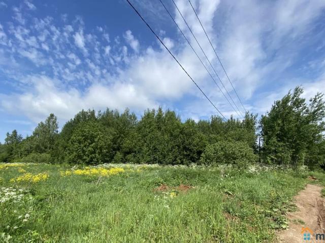 продажа загородная деревня Маурино улица Полевая