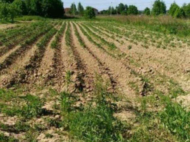 продажа загородная деревня Михеево улица Полевая