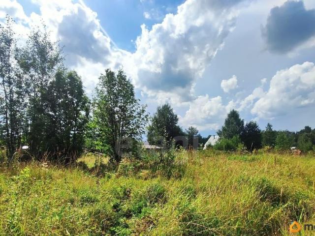 продажа загородная деревня Морово улица Картофельная