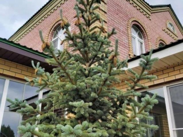 продажа загородная деревня Новоселки улица Садовая, 1