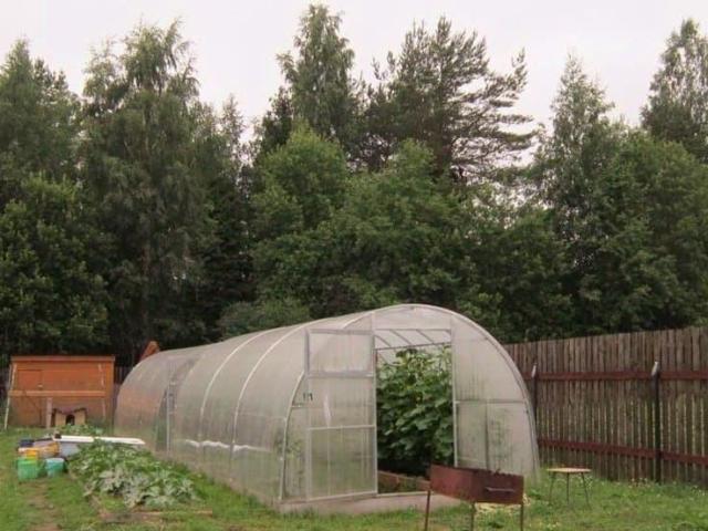продажа загородная деревня Овино улица Заручевская, 27А