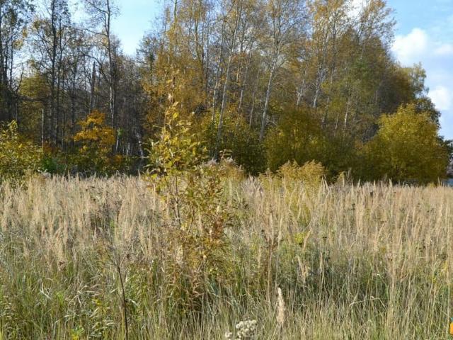 продажа загородная деревня Паршино улица Родниковая, 22