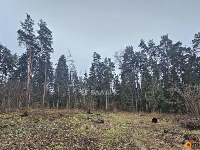 продажа загородная деревня Пенкино улица Набережная, 7В
