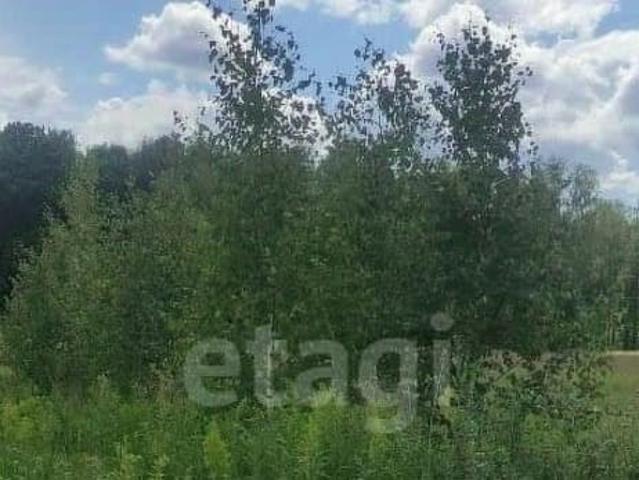 продажа загородная деревня Перцево улица Дачная