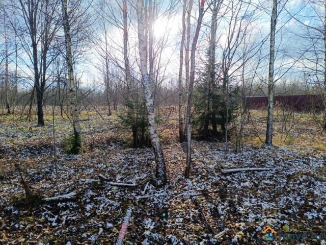 продажа загородная деревня Полежайки улица Молодежная