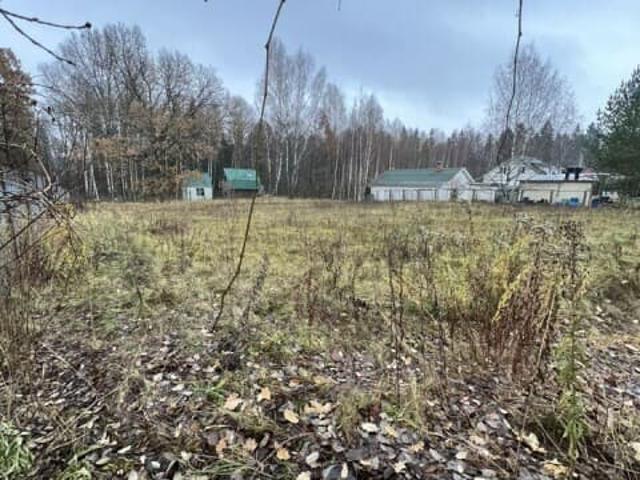 продажа загородная деревня Рыгино ул. СНТ Заря