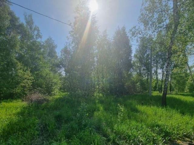 продажа загородная деревня Самохваловка улица Счастливая