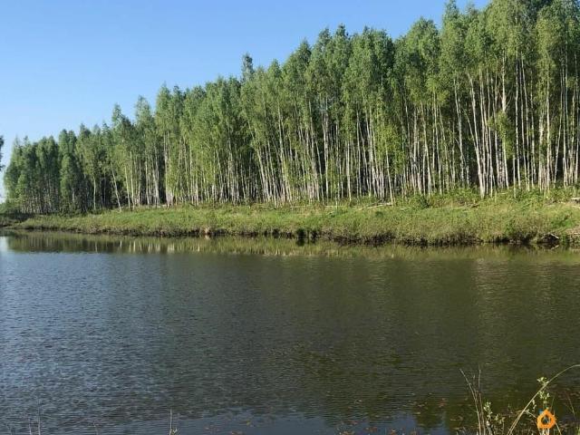 продажа загородная деревня Сетка ул. дорога Окружная