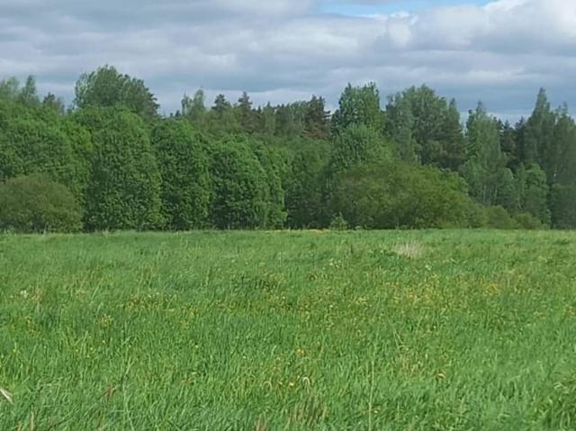 продажа загородная деревня Сорочкино улица Молодежная