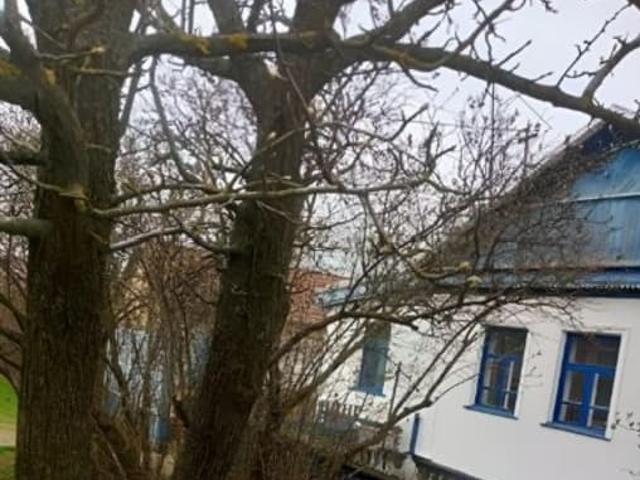 продажа загородная Элиста улица Номто Очирова, 24