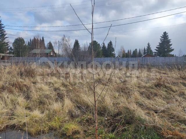 продажа загородная Элитовский сельсовет ул. Светлая ул