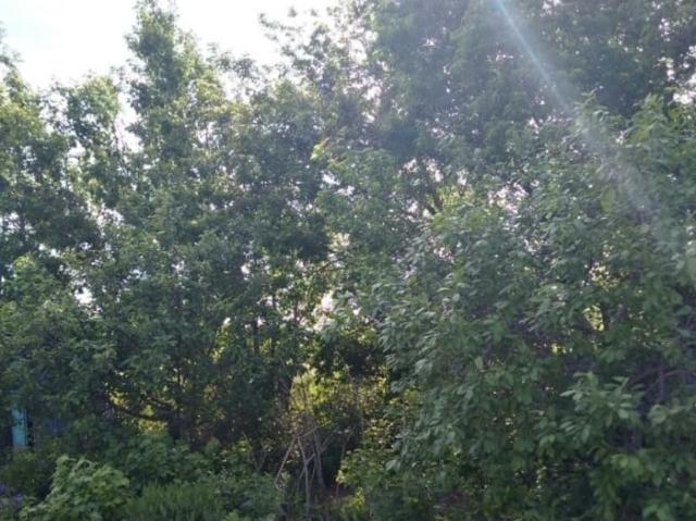 продажа загородная Ершов улица Мичурина, 25