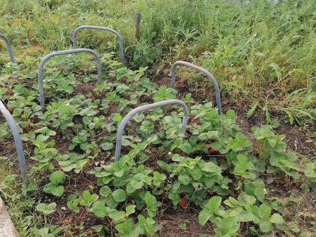 продажа загородная Котлас ул. Солнечная ул, 15