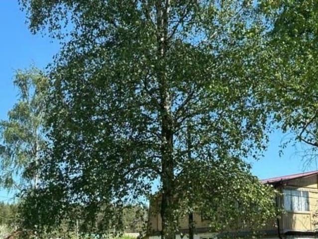 продажа загородная Киржач улица Мичурина, 68