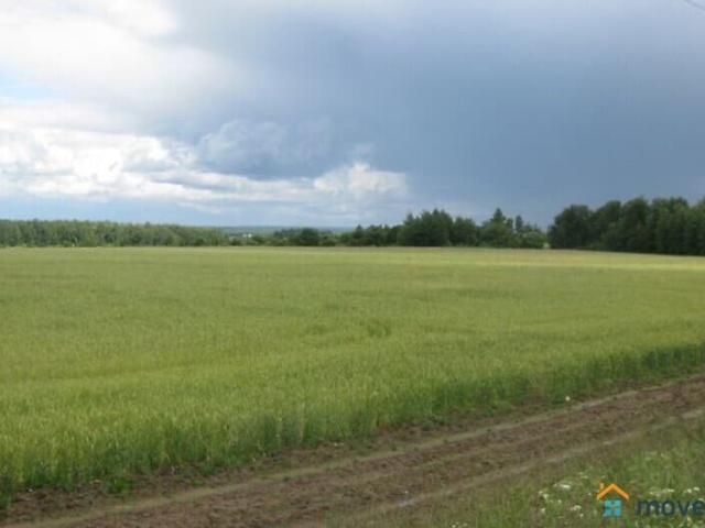 продажа загородная Красноармейск ул. территория Поселок Кирпичного завода, д 31
