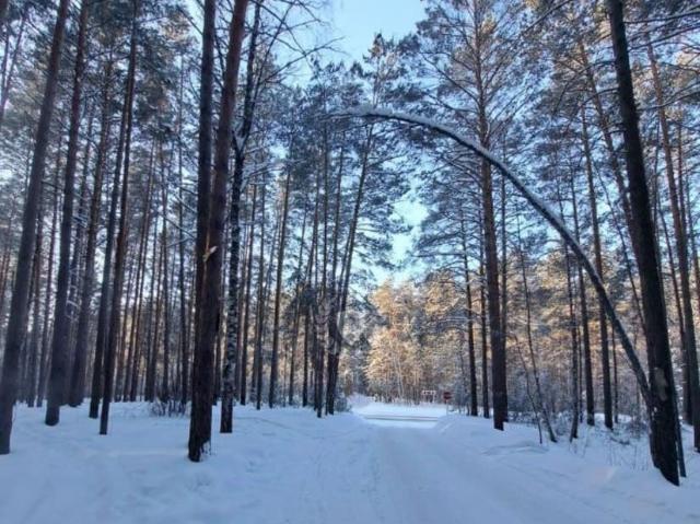 продажа загородная Кудряшовский улица Лесная, 10