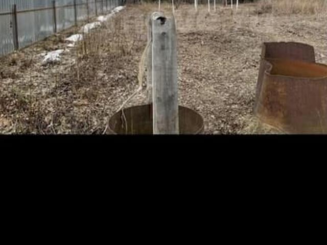 продажа загородная Курган ул. Яблоневая ул