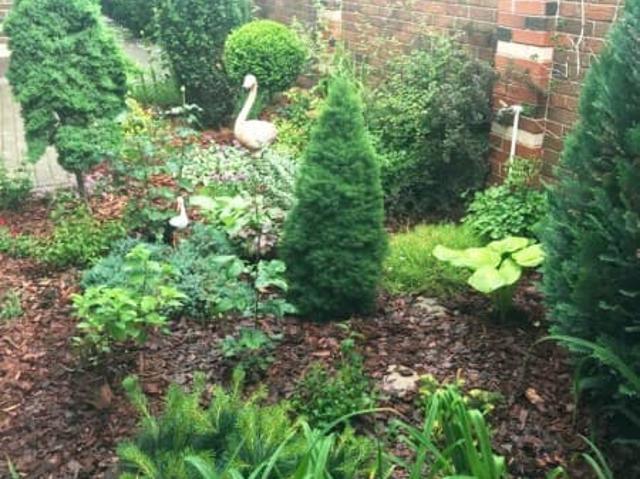 продажа загородная хутор Ленинаван ул. вишневая