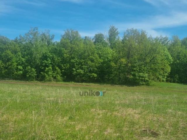 продажа загородная Октябрьский улица Березовая